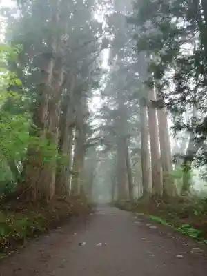 戸隠神社奥社(長野県)