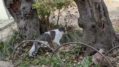 花山稲荷神社(京都府)