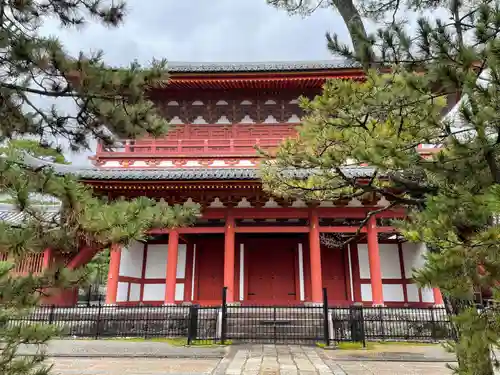 妙心寺（妙心禅寺）(京都府)