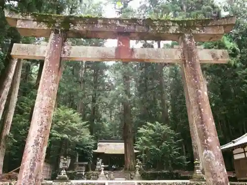 室生龍穴神社の鳥居