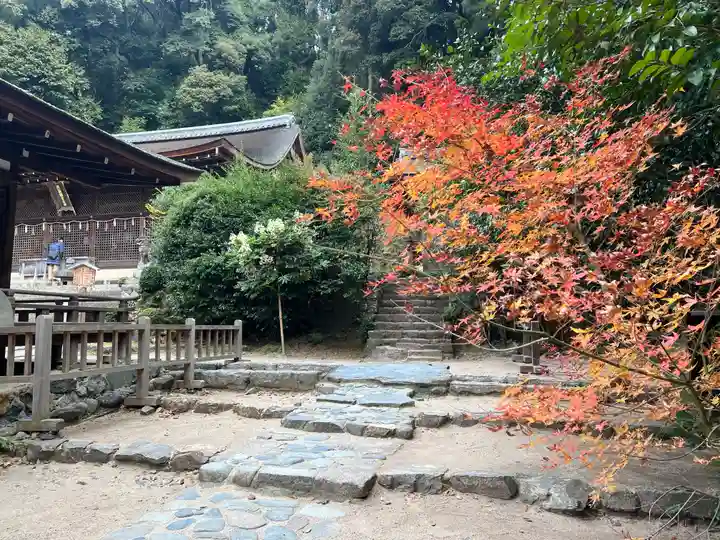 宇治上神社(京都府)