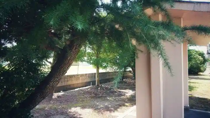 八龍社(稲島)の景色