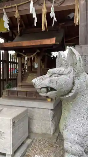 柴籬神社の狛犬