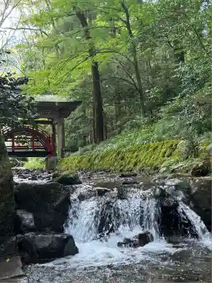 彌彦神社(新潟県)