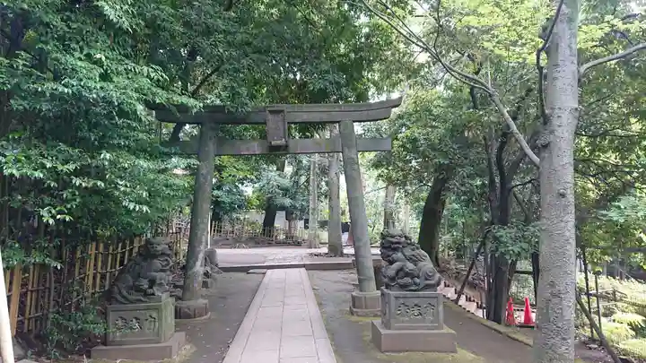 渋谷氷川神社の鳥居