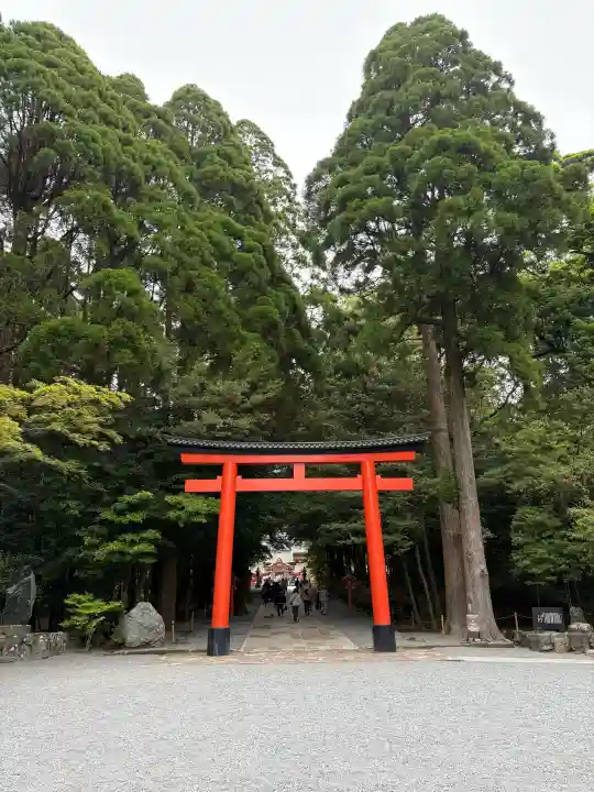 霧島神宮の{uncategorized: "未分類", other: "その他", undefined: "問題あり", building: "その他建物", grave: "お墓", sacred_gate: "鳥居", guardian: "狛犬", statue: "像", buddha: "仏像", history: "歴史", nature: "自然", garden: "庭園", animal: "動物", pagoda: "塔", temizu: "手水舎", mountain_gate: "山門・神門", sanctuary: "本殿・本堂", subordinate: "末社・摂社", art: "芸術", scenery: "景色", jizo: "地蔵", ema: "絵馬", goshuin: "御朱印", omikuji: "おみくじ", items: "授与品その他", amulet: "お守り", goshuincho: "御朱印帳", eats: "食事", festival: "お祭り", votive_dance: "神楽", shichigosan: "七五三参", wedding: "結婚式", experience: "体験その他", initially: "初詣", around: "周辺", anti_infection: "感染症対策"}