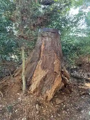 星宮神社(栃木県)