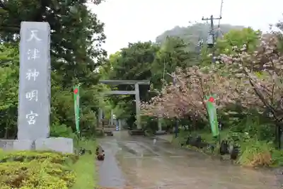 天津神明宮(千葉県)