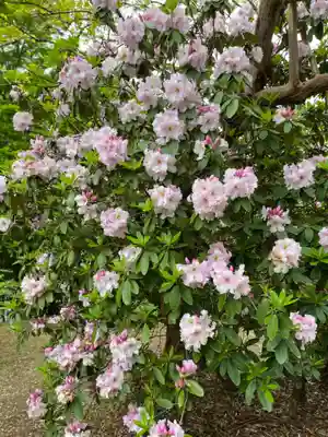 正福寺(茨城県)