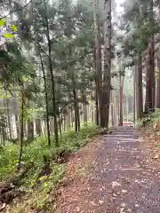 天台寺の自然