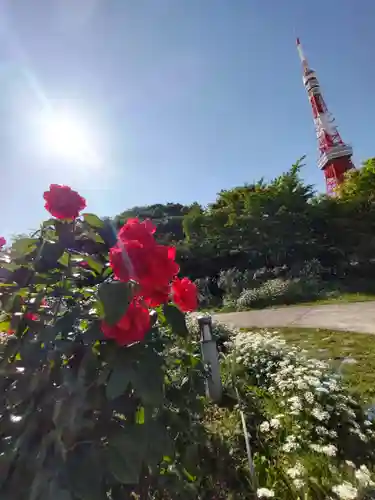 増上寺塔頭 三縁山 宝珠院の周辺