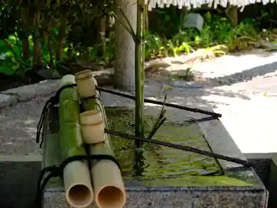 善峯寺(京都府)