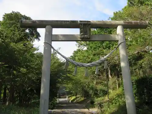 高松神社の鳥居