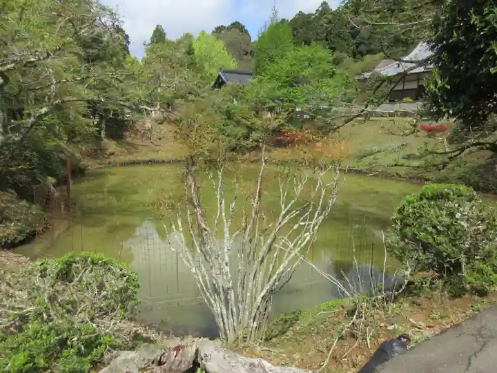 天寧寺(京都府)