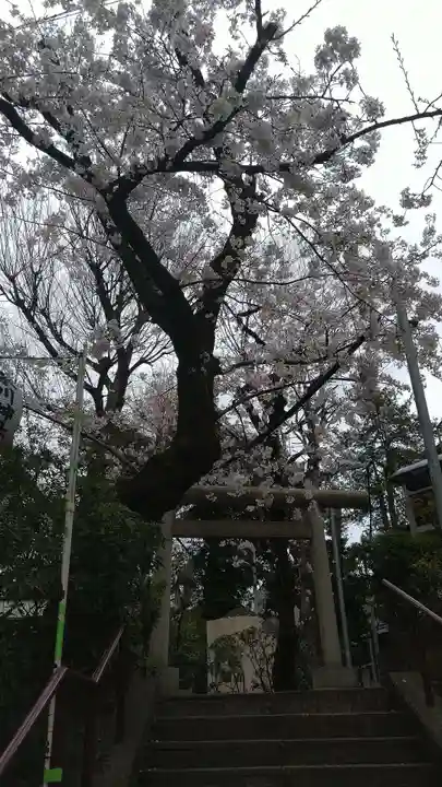 上目黒氷川神社の鳥居
