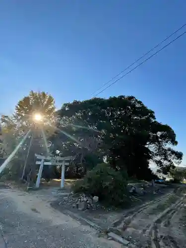 大宮皇神の鳥居