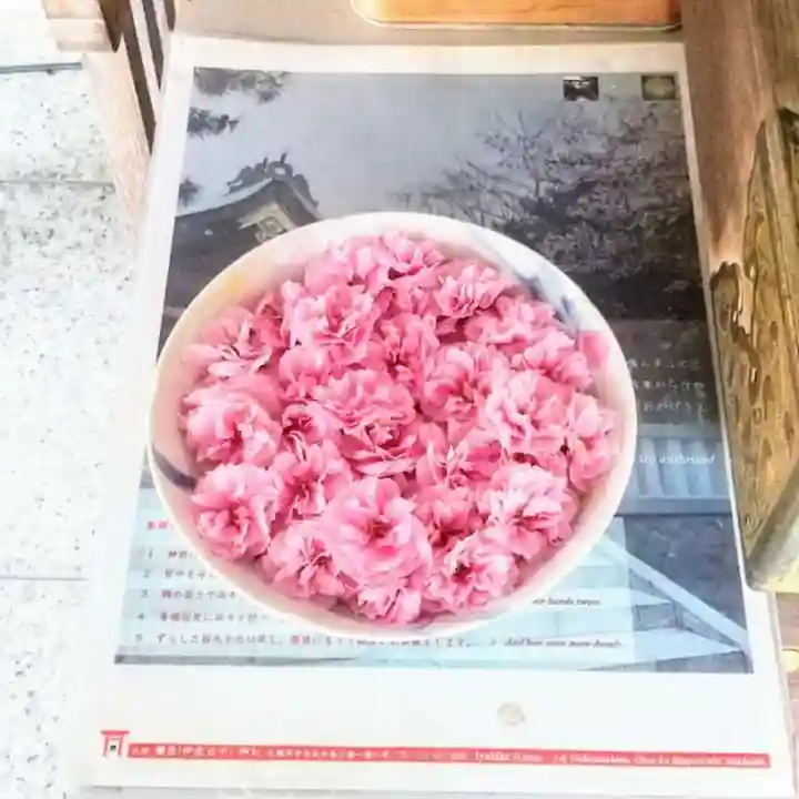 彌彦神社 (伊夜日子神社)の芸術
