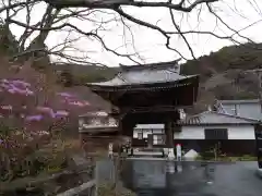 普門寺(切り絵御朱印発祥の寺)(愛知県)