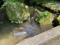 石山寺(滋賀県)