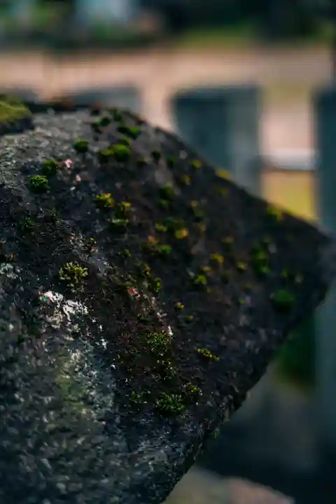 豊崎神社のその他建物