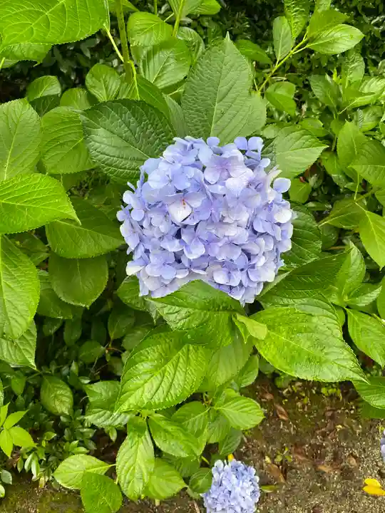 當麻寺中之坊の自然