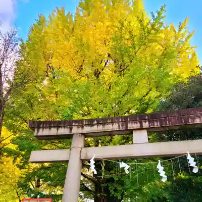 鳩森八幡神社(東京都)