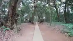 近津神社の建物その他