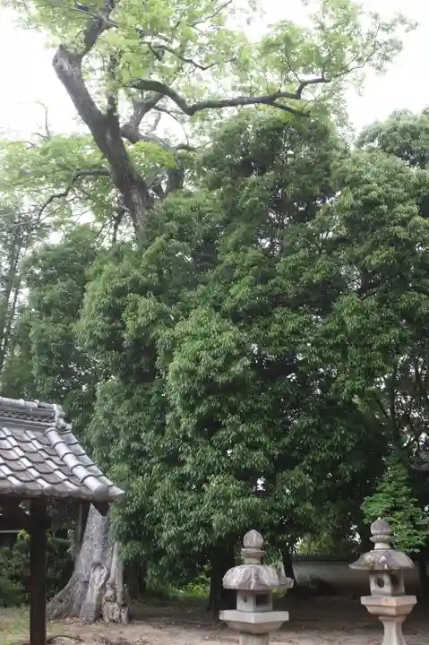 鏡作神社(奈良県)