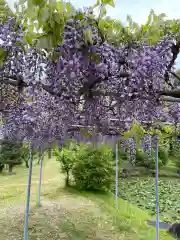 大生郷天満宮の自然