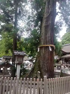 大神神社の御朱印