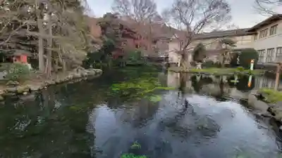 富士山本宮浅間大社(静岡県)