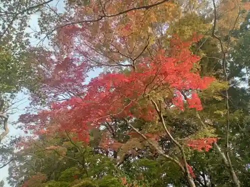神峯山寺(大阪府)