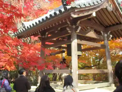 常寂光寺(京都府)