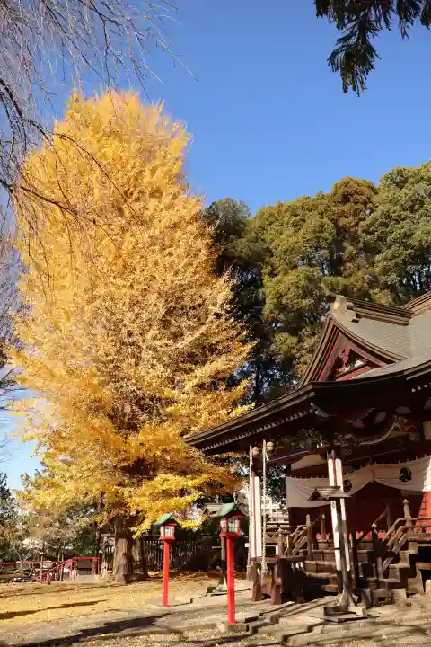 下野國一社八幡宮(栃木県)
