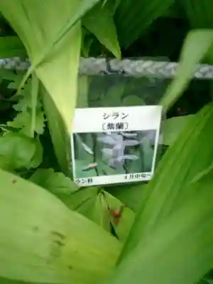 光則寺(神奈川県)