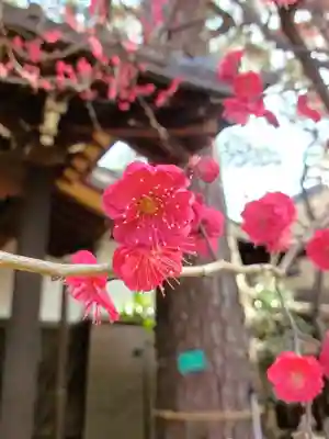 玄国寺(東京都)