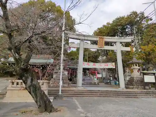 針綱神社の鳥居