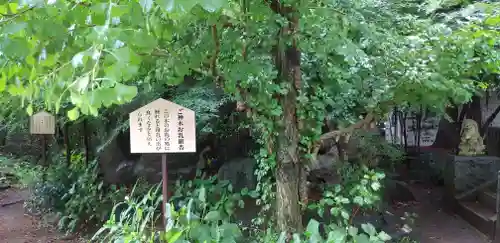 大宝八幡宮の自然