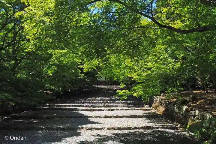 二尊院(京都府)