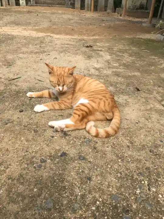 縣主神社の動物
