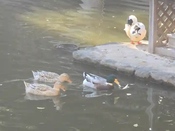 生田神社(兵庫県)