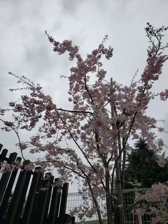 駒込妙義神社(東京都)