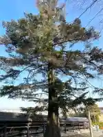 松山諏訪神社(岐阜県)