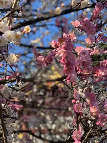 薭田神社の自然