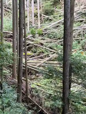 空也の滝(京都府)