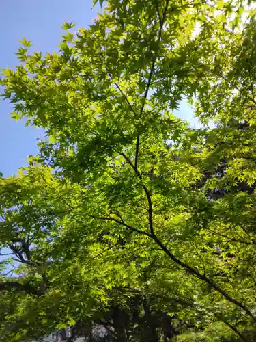 東慶寺(神奈川県)