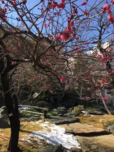 湯島天満宮の庭園