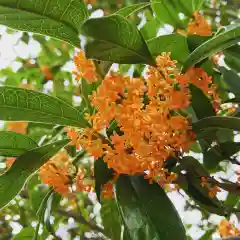 豊景神社の自然