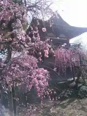 防府天満宮の自然