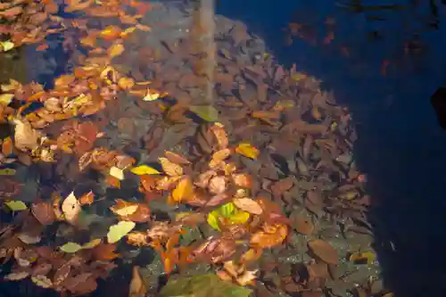 達屋酢蔵神社(長野県)